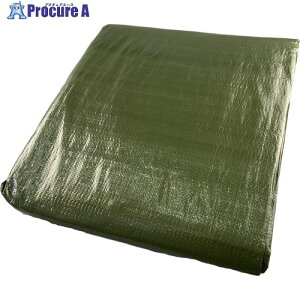 ^JCN #3000 ODO[V[g 5.4mx5.4m OGS-13 1 444-7042