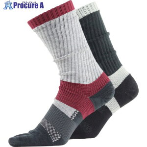 ^JCN C ASHITOMO WORKING SOCKS Y΍(5{wEN[) A\[g 2g 25[27cm SWZC-C52 1g 688-7889