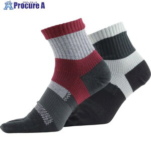^JCN C ASHITOMO WORKING SOCKS Y΍(5{wEV[g) A\[g 2g 25[27cm SWZS-C52 1g 688-7901
