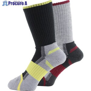 ^JCN C ASHITOMO WORKING SOCKS j΍(ہEV[g) A\[g 3g 25[27cm SWYS-C13 1g 688-7903