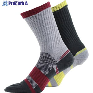 ^JCN C ASHITOMO WORKING SOCKS j΍(5{wEN[) A\[g 2g 25[27cm SWYC-C52 1g 688-7913