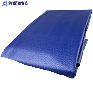 ���^�J���C�N �J���[�g���b�N�V�[�g 1.8m×2.1m �l�C�r�[ CTS-116 1�� ��819-2354