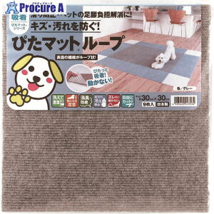 ���^�i�x �z���҂��}�b�g ���[�v 30cm×30cm �O���[(9����) KPL-3005 1�g ��177-1886