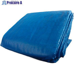 ���^�J���C�N #3000 �u���[�V�[�g 4.5m×5.4m BLZ-12 8�� ����118-0743 �y�����s�x���ρz���ԏ�n��