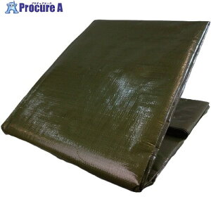 ^JCN #4000 ODO[V[g 3.6m×5.4m OGS-411 1 855-6042