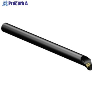 SANDVIK �R���^�[��107 ������H�p�{�[�����O�o�C�g(210) A10R-SDUCL 2-R (210) 1�{ ����314-2027 �y�����s�x���ρz ��KO521