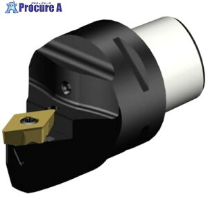 SANDVIK ������H�p�J�b�e�B���O���j�b�g �R���^�[��TR(480) C4-TR-D13NCN-00050C1 1�� ����655-9679 �y�����s�x���ρz ��KO521