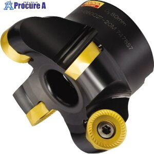 SANDVIK �R���~��200 ���ʃt���C�X�J�b�^�[(450) RA200-038R19-13H-HD (450) 1�� ����315-1183 �y�����s�x���ρz ��KO521