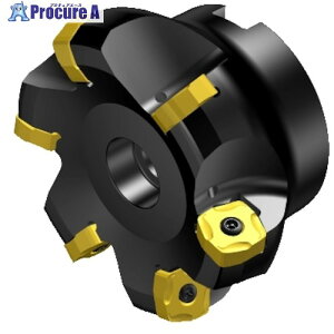 SANDVIK �R���~��365 ���ʃt���C�X�J�b�^�[(450) RA365-076R25-S15H (450) 1�� ����315-1203 �y�����s�x���ρz ��KO521