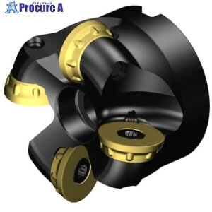 SANDVIK �R���~��300 ���ʃt���C�X�J�b�^�[(440) RA300-076R25-25M (440) 1�� ����315-1798 �y�����s�x���ρz ��KO521