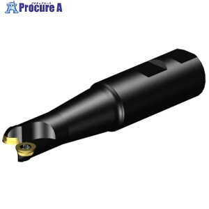 SANDVIK �R���~��300 ���ʃt���C�X�J�b�^�[(440) RA300-019M25-10L (440) 1�� ����315-5192 �y�����s�x���ρz ��KO521