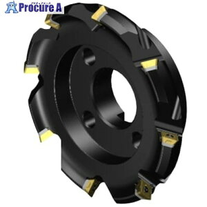 SANDVIK �R���~��245 ���ʃt���C�X�J�b�^�[(450) RA245-203R63-18M (450) 1�� ����315-5236 �y�����s�x���ρz ��KO521