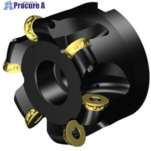 SANDVIK �R���~��CoroMill[[R��]]300 �v���t�@�C���t���C�X���H�p�J�b�^�[(440) RA300-102R38-20M (440) 1�� ����315-5255 �y�����s�x���ρz ��KO521