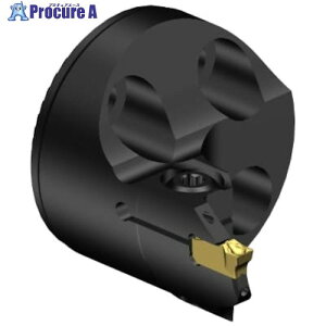 SANDVIK �R���J�b�gQI�w�b�h�[�ʍa������H�p(420) SL-QI-LG08C32-029A (420) 1�� ����340-9818 �y�����s�x���ρz ��KO521