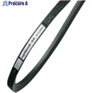 �I�v�e�B�x���g �x���g optibelt WEDGE BELTS SK 8V-1250 8V 1250 1�{ ����713-3235 �y�����s�x���ρz