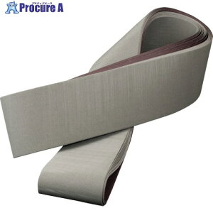 3M 217EA �g���C�U�N�g�x���g A65 100X915mm #240 217E 65 100X915 FL 10�{ ��295-9674