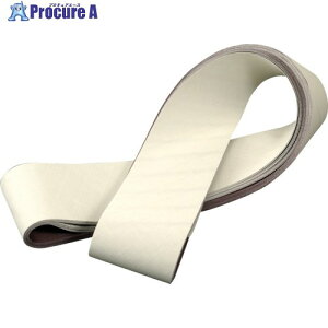 3M 305EA �g���C�U�N�g�x���g A3 100X915mm #4000 305E 3 100X915 FL 10�{ ��295-9852