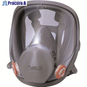 3M hŃ}XNSʌ`ʑ 6000F MTCY 6000F M 1 422-3845