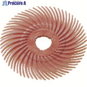 3M ���W�A���E�u���b�X���f�B�X�N �p�[�~�X �s���N 50.8mm BR DISC PUM 2X3/8 40�� ��485-9138