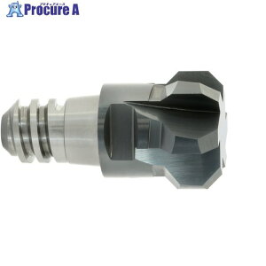 MAPAL CPMill-Chamfer-Twin �uCPM190�v CPM190-1000Z04-F0125-06-HP383 1�{ ��775-5171