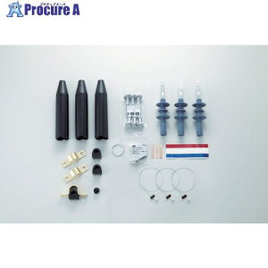 3M �֓��n�C-K�^�[��II-EM(���O�p)CVT38/60SQ�p�L�b�g T6SB-R3-O38/60 EM 1S ��795-9061