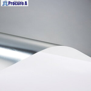 3M �X�R�b�`�e�B���g �t���X�g�E�V���o�[1 SH2FRSI-1X A3 SH2FRSI-1X A3 1�� ��856-0587