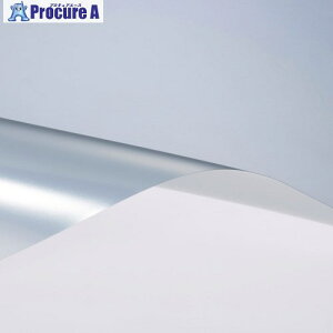 3M �X�R�b�`�e�B���g �t���X�g�E�V���o�[35 SH2FRSI-35X A3 SH2FRSI-35X A3 1�� ��856-0590