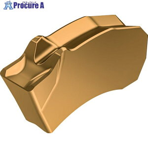 Walter �a���ꂨ��ѓ˂��؂�p�`�b�v Tiger�Etec Gold WSM23G SX-4E400N02-CE4 WSM23G 10�� ��700-6414 ��O585