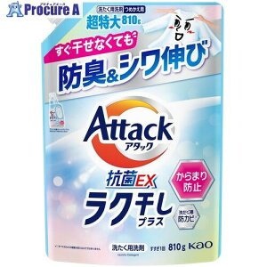 Kao p A^bNREX NvX ߂p 810g 455062 9 708-0715 ysxρz