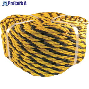 ^JCN [v W[v #9X100m NO9-100 (#9-100M) 1 113-7036