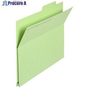 PLUS 294592)otH_- FL-061PF A4E  10 FL-061PF(10) GR 1pbN 196-9176