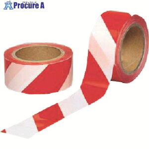  ̂Ȃge[v TP-12 1 184-6305