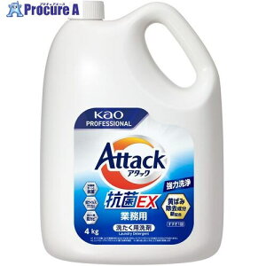 Kao A^bN REX Ɩp 4kg 456533 1 705-1924