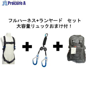 3M y2025N12܂Łz DBI-T GO]tBbgCg]xgtn[lX  掮cC[h Zbg y[pbN܂tz 1114081N-3101764 1S 709-2853