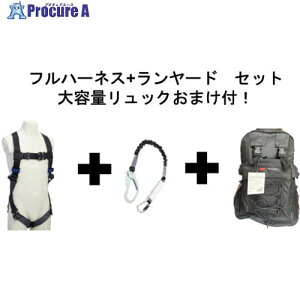 3M y2025N12܂Łz DBI-T GO]tBbgCg]xgtn[lX  LkVO[h Zbg y[pbN܂tz 1114081N-1246507 1S 709-2854