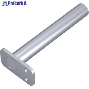 IWATA �t�����W�t �����V���t�g FSFMFS300-14S 1�{ ����223-3046 �y�����s�x���ρz