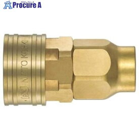日東 TSPカプラ 真ちゅう製 ニトリルゴムNBR(SG)(39095) 4TSN-120 BRASS NBR 1個 ■▼547-5334 【送料都度見積】 ●KO521