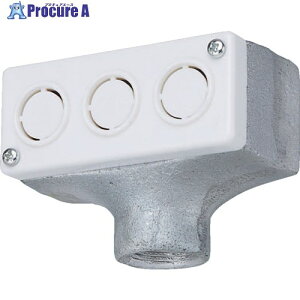 Panasonic �^�[�~�i���L���b�v(���S��)C25 DF2025P 1�� ����628-7074 �y�����s�x���ρz ��YA513