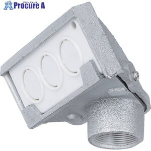 Panasonic �G���g�����X�L���b�v(���S��)C31 DF1931P 1�� ����628-8673 �y�����s�x���ρz