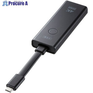 SANWA 4KΉ CX HDMIGNXe_[ Type-CڑpEM@̂ VGA-EXWHD12CTX 1 702-8499 lls