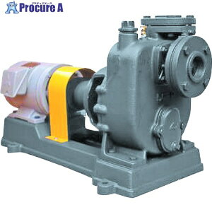 TERADA �Z���v���|���v ���S���y�A�[�|���v ���[�^�[�t P-5E 50HZ WM 1�� ����502-2939