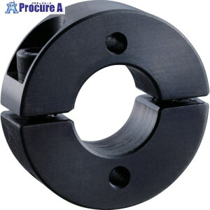 IWATA X^_[hZp[gJ[ 2lWt  a15mm 15mm SCSS1515CN2 1 148-9555 ysxρz