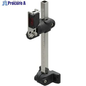 IWATA �Z���T�X�^���h�����V���[�Y �X�g���[�g SJC200 1�� ����149-2347 �y�����s�x���ρz