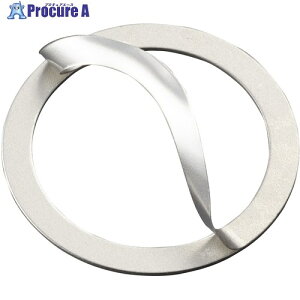 IWATA �V�������O ���~�l�[�g SUS (5����) RS5021028100 1�� ����221-4255 �y�����s�x���ρz