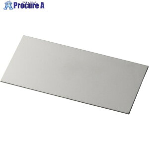 IWATA �V���v���[�gSUS TS200-250-10 1�� ����223-5430 �y�����s�x���ρz