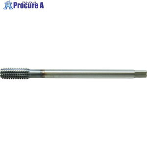 �c��䐻�쏊 �[���`�b�v�V�[�����X�^�t���b�g M10×1.25×100 1.5C7 18065 ZC-SL-TF M10X1.25X100 1.5C7 10�{ ��617-4420