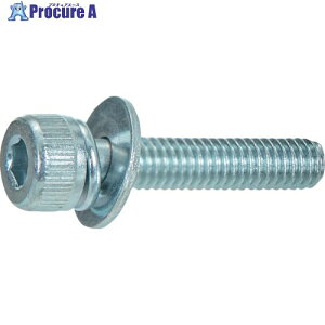 TRUSCO �Z�p���t�g���{���gP��3 �O���� M5X14 (20�{����) S270-0514 1�p�b�N ��690-9925