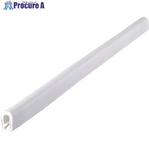 IWATA g 100V[YTPE 40M 100-48-W-5T-L40 1{ 171-9600