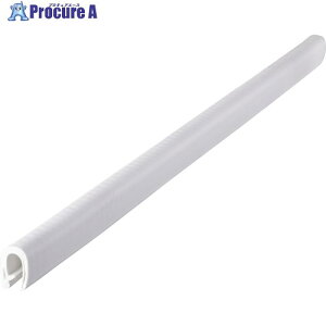 IWATA �g���� 100�V���[�YTPE 19M 100-64-W-1T-L19 1�{ ����172-6086