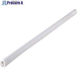 IWATA �g���� 75�V���[�YTPE 53M 75-24-W-5T-L53 1�{ ����173-0612